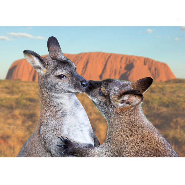 Kangaroos - 3D Lenticular Postcard Greeting Card