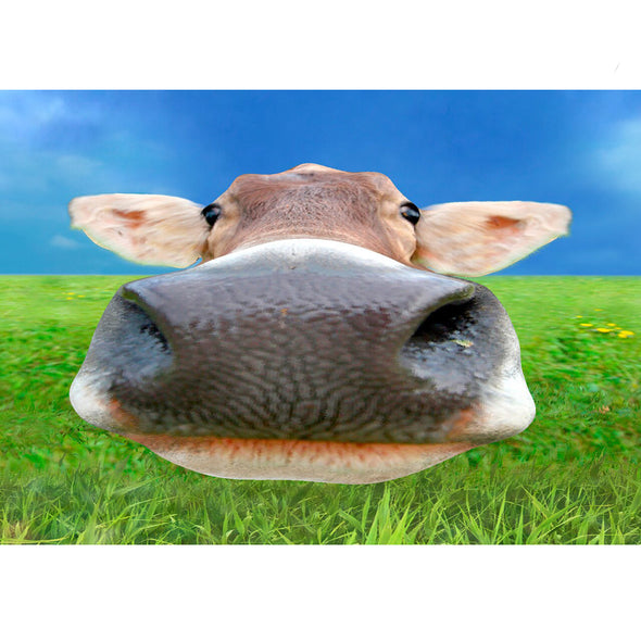 Nosy Cow - 3D Lenticular Postcard Greeting Card