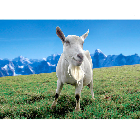Saanen Goat - 3D Lenticular Postcard Greeting Card