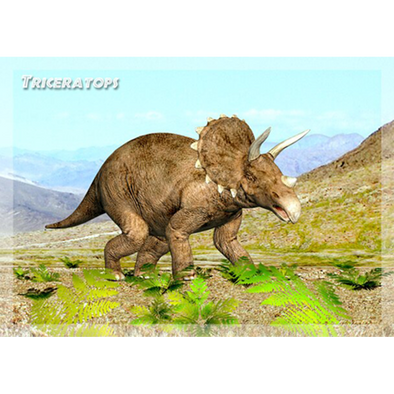 Triceratops - Dinosaur - 3D Action Lenticular Postcard Greeting Card