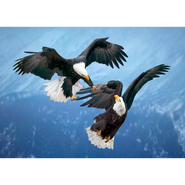 Bald Eagles in Mid-Air - 3D Lenticular Postcard Greeting Card