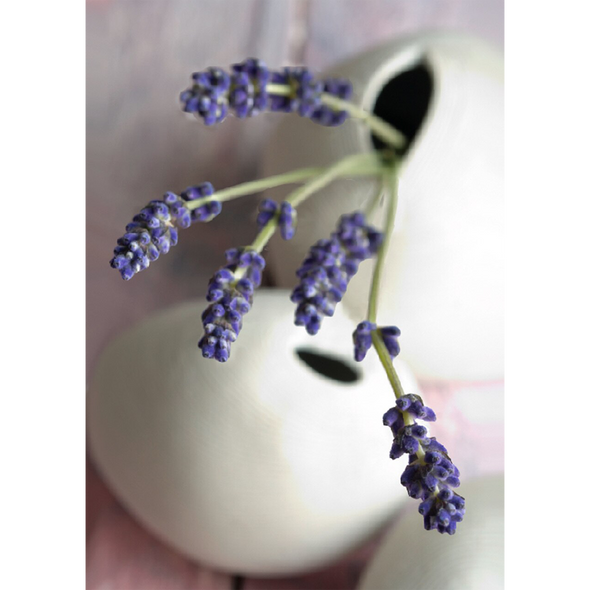 Lavender - 3D Lenticular Postcard Greeting Card