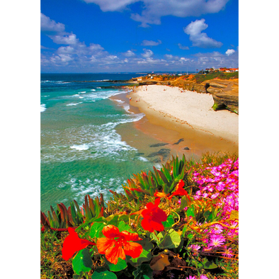 Wipeout Beach, La Jolla, California - 3D Lenticular Postcard Greeting Card