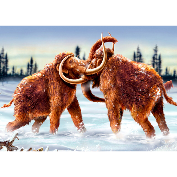 Mammoths Fighting - 3D Lenticular Postcard Greeting Card