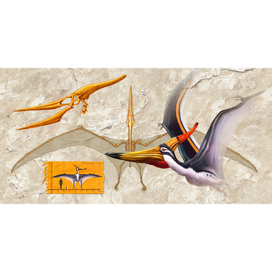 Anatomy of a Pteranodon - 3D Lenticular Postcard Greeting Card - Oversize