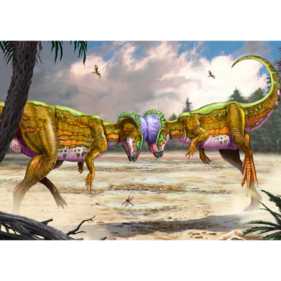 Pachycephalosaurus Fighting - 3D Lenticular Postcard Greeting Card