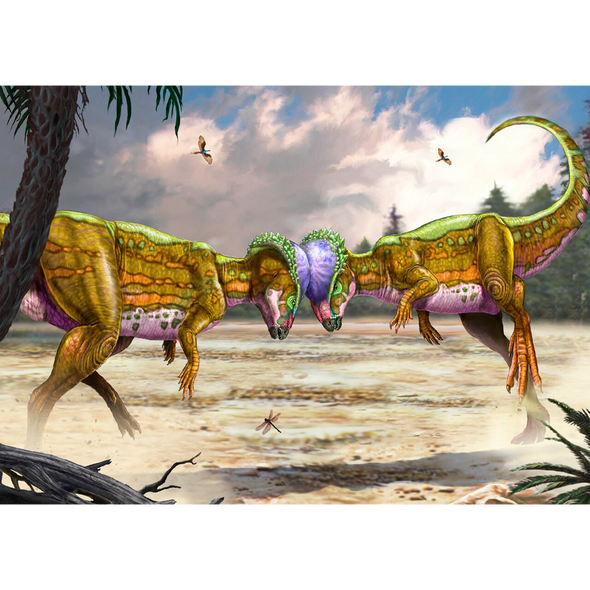 Pachycephalosaurus Fighting - 3D Lenticular Postcard Greeting Card