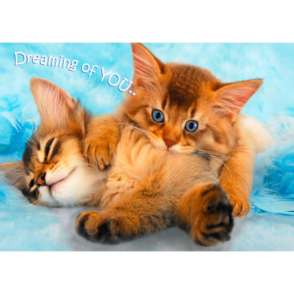 Dreaming of You - 3D Action Lenticular Postcard Greeting Card