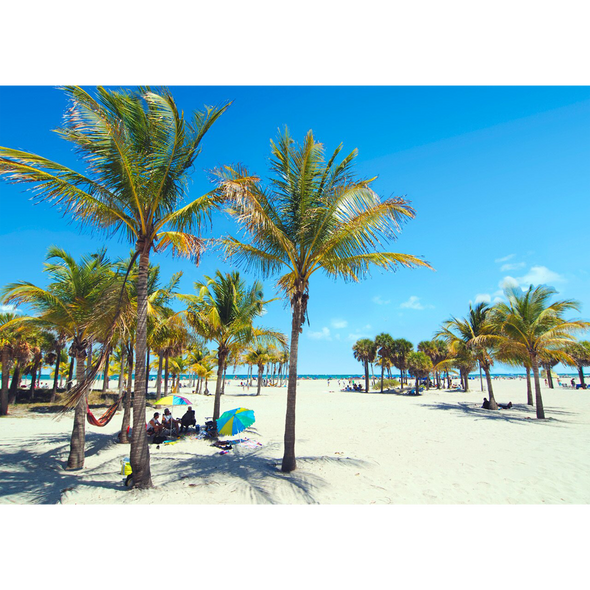 Palm and Sand - Beach Scene - 3D Lenticular Postcard Greeting Card