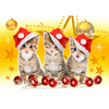 Christmas Kittens - 3D Action Lenticular Postcard Greeting Card