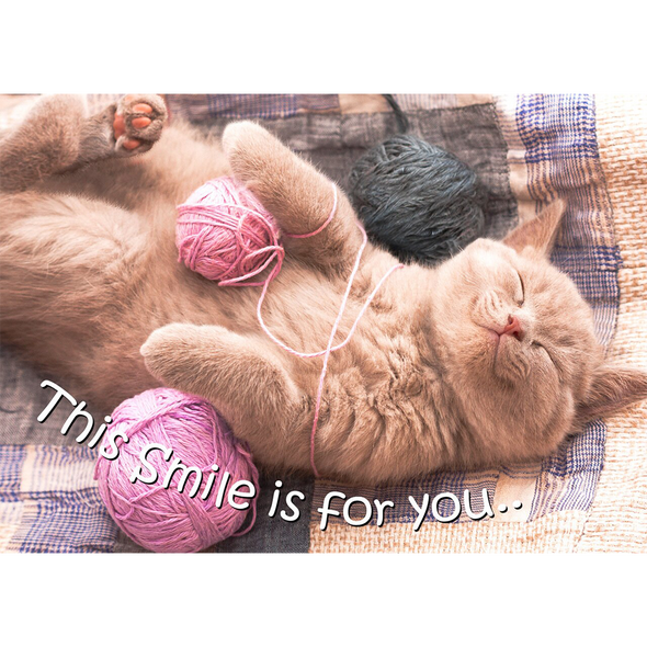 This Smile Is For You - 3D Action Lenticular Postcard Greeting Card