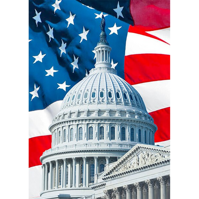U.S. Capitol and American Flag, Washington, D.C. - 3D Lenticular Postcard Greeting Card