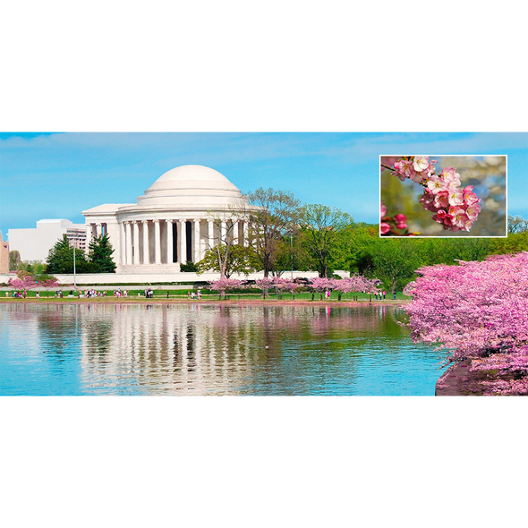 Jefferson Memorial Washington, D.C.- 3D Lenticular Postcard Greeting Card - Oversize