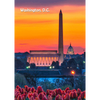 Washington Monument by Day and Night - 3D Lenticular Postcard Greeting Card