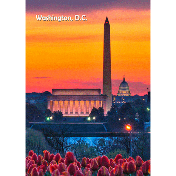 Washington Monument by Day and Night - 3D Lenticular Postcard Greeting Card