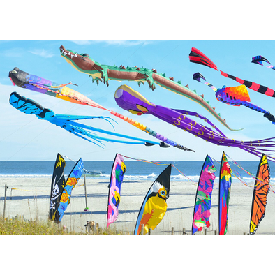 Flying Kites - 3D Lenticular Postcard Greeting Card