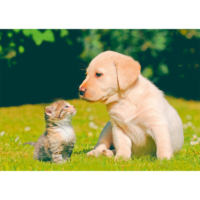 Puppy and Kitten - 3D Lenticular Postcard Greeting Card