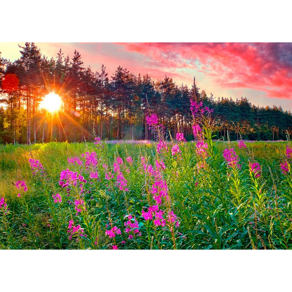 Fireweed - 3D Action Lenticular Postcard Greeting Card