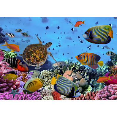 Colorful coral reef with tropical fish - 3D Lenticular Postcard Greeting Card
