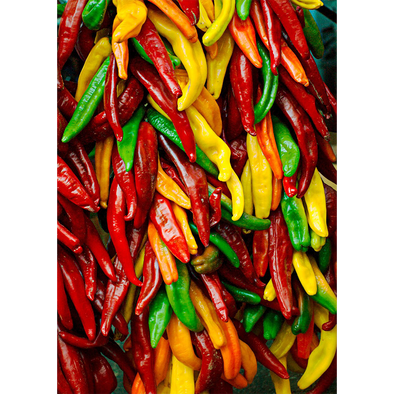 Chile Peppers - 3D Action Lenticular Postcard Greeting Card