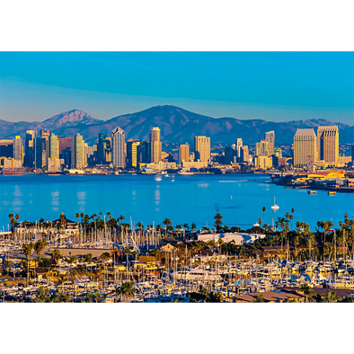 San Diego Skyline - 3D Lenticular Postcard Greeting Card