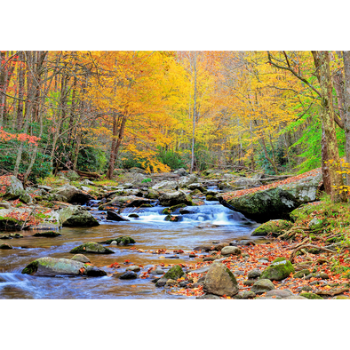 Appalachian River in Autumn - 3D Lenticular Postcard Greeting Card