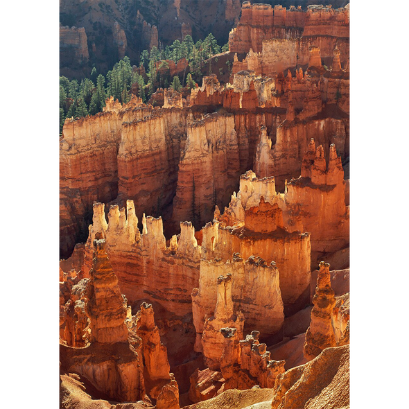 BRYCE CANYON 2- 3D Lenticular Post Card  Greeting Card
