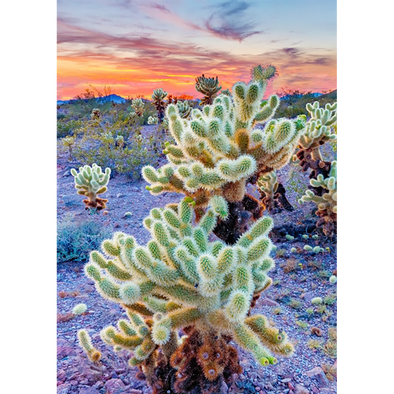 Jumping Cholla - 3D Postcard  Greeting Card