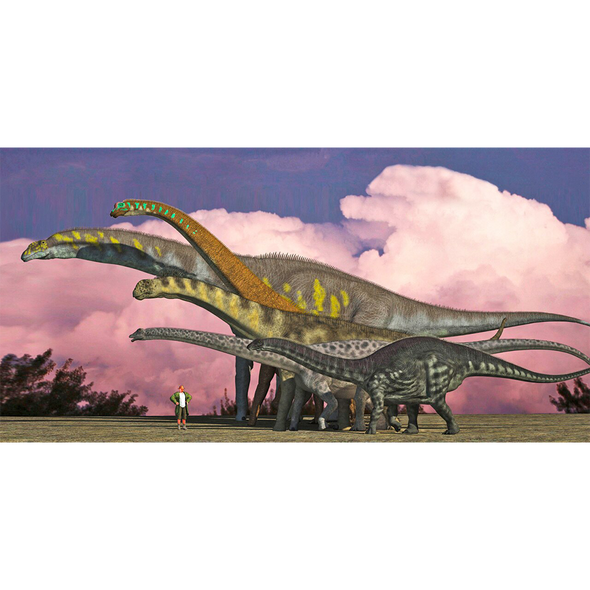 Sauropods - 3D Lenticular Postcard Greeting Card - Oversize