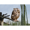 Owl - 3D Lenticular Postcard Greeting Card