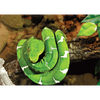 Green Snake - 3D Lenticular Postcard Greeting Card