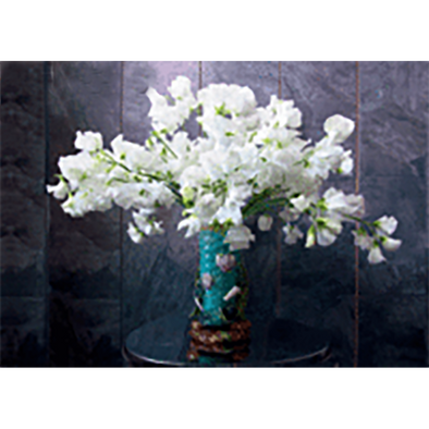 White VETCHES Flowers - 3D Lenticular Postcard Greeting Card