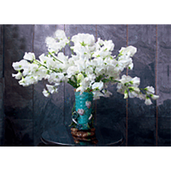 White VETCHES Flowers - 3D Lenticular Postcard Greeting Card