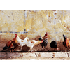 Roosters and Chickens - 3D Lenticular Postcard Greeting Card