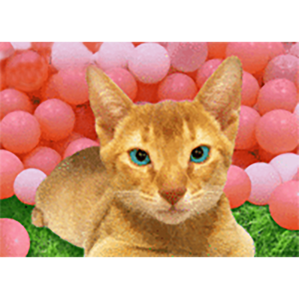 Smiling Cat - 3D Action Lenticular Postcard Greeting Card