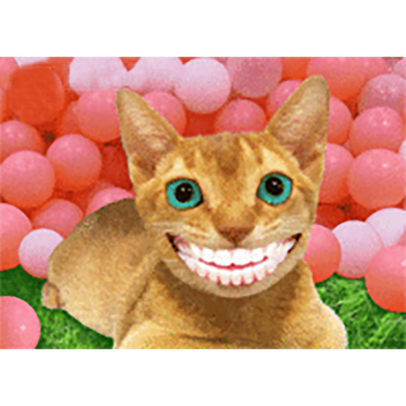 Smiling Cat - 3D Action Lenticular Postcard Greeting Card