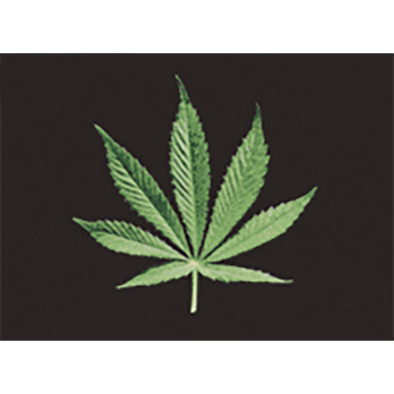 Marijuana - From Leaf to Joint - 3D Action Lenticular Postcard Greeting Card