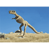 Tyrannosaurus Rex Dinosaur - Anatomy - 3D Action Lenticular Postcard Greeting Card