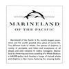 Marineland - of the Pacific - A188 - Vintage Classic View-Master - 3 Reel Packet - 1960s Views