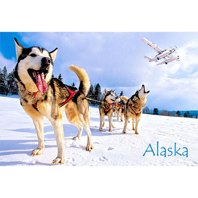 HUSKIES - ALASKA - 3D Magnet for Refrigerators, Whiteboards, and Lockers - NEW
