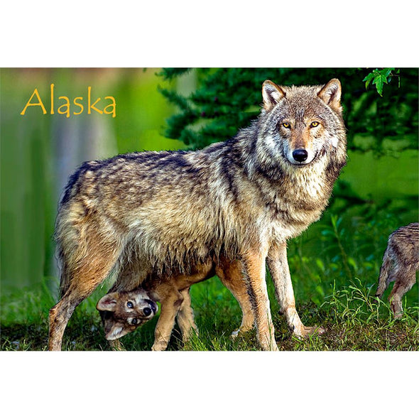 WOLF AND PUP - ALASKA - 3D Magnet for Refrigerators, Whiteboards, and Lockers - NEW