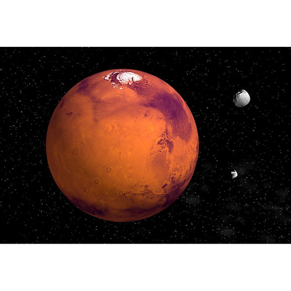 MARS - 3D Magnet for Refrigerators, Whiteboards, and Lockers - NEW