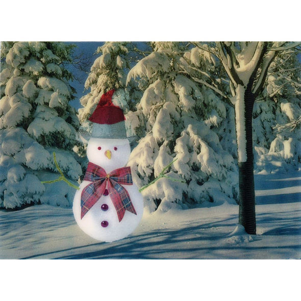 Snowman in the snow - Animated - 3D Lenticular Postcard Greeting Card - NEW