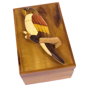 Parrot Wooden Box, 6" x 4" x 2.5"- Perfect for stash box and Keepsake Box for Gift, Jewelry