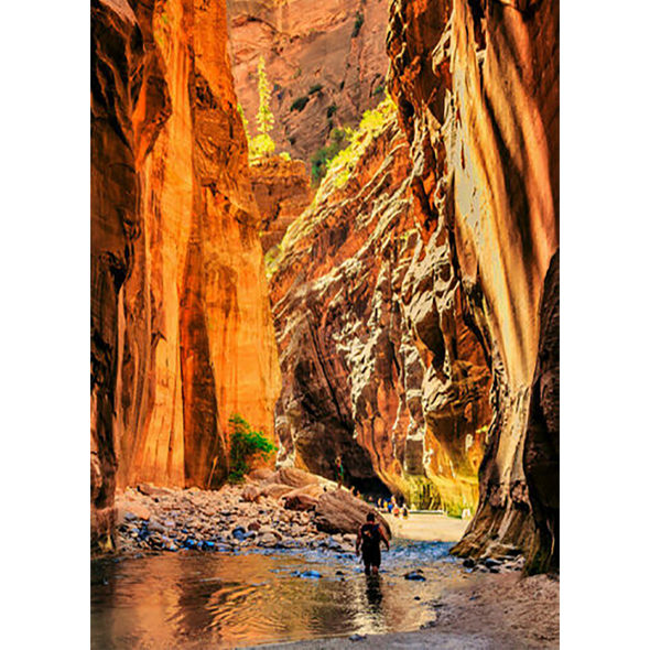 Zion Canyon and The Narrows - 3D Lenticular Postcard Greeting Card - NEW