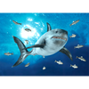 Great White Shark - 3D Action Lenticular Postcard Greeting Card