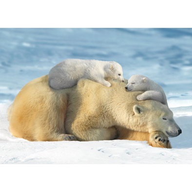 Polar Bear Mother with cubs - 3D Lenticular Postcard Greeting Card