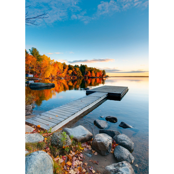 Fall At Baxter State Park, Maine - 3D Lenticular Postcard Greeting Card